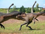 Dinozaury Dinozaury